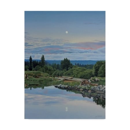 Ron Parker 'Lunar Reflection' Canvas Art,24x32